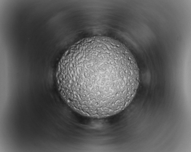 X0000094320757200711161929