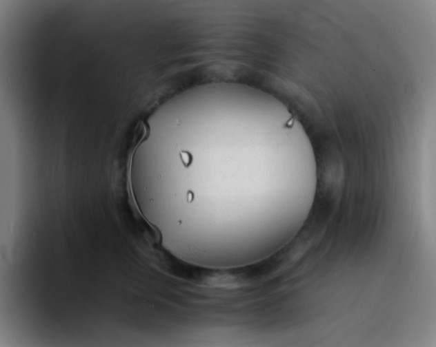 X0000094320759200711161929