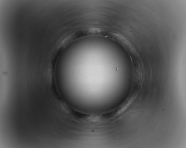 X0000094320762200711161929