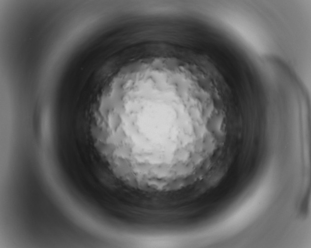 X0000094320765200711161929
