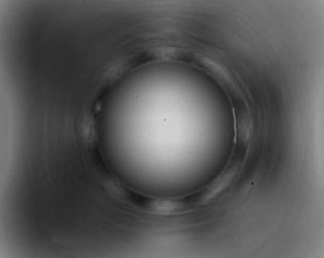 X0000094320766200711161929