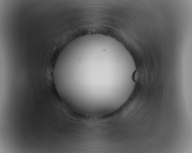 X0000094320770200711161929