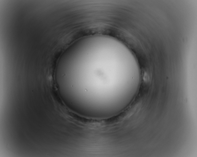 X0000094320771200711161929