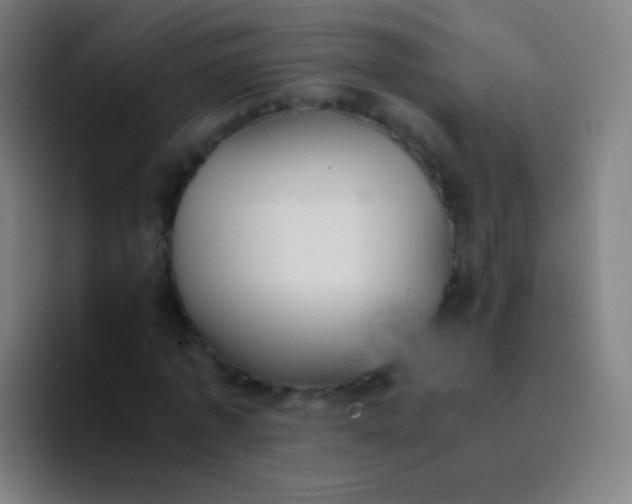 X0000094320773200711161929