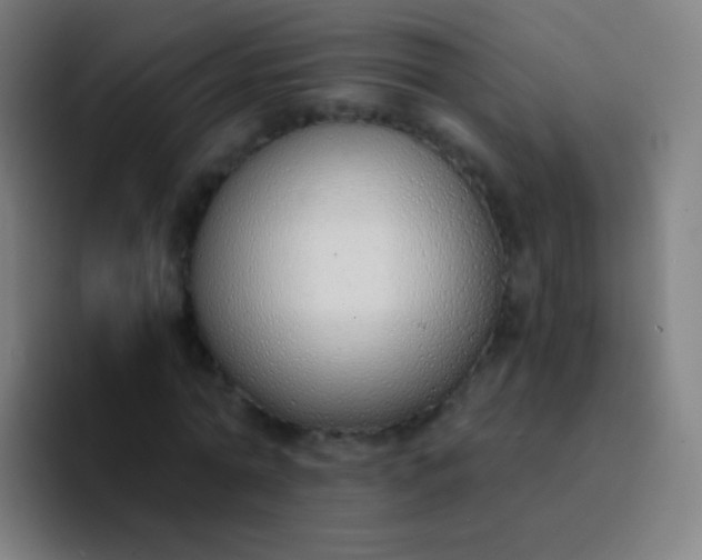 X0000094320774200711161929