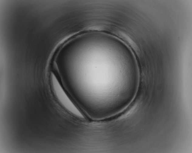 X0000094320779200711161929
