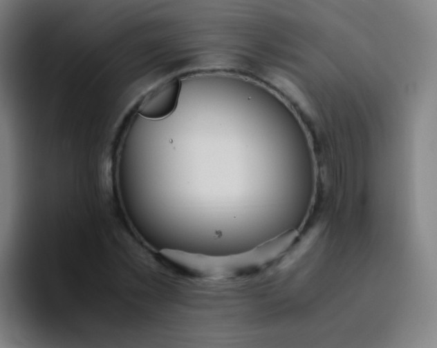 X0000094320781200711161929