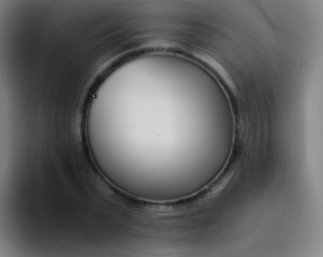 X0000094320783200711161929