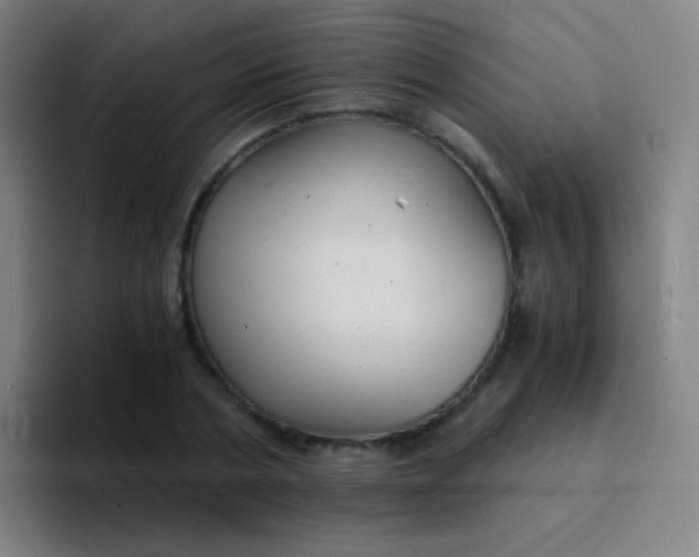 X0000094320786200711161929