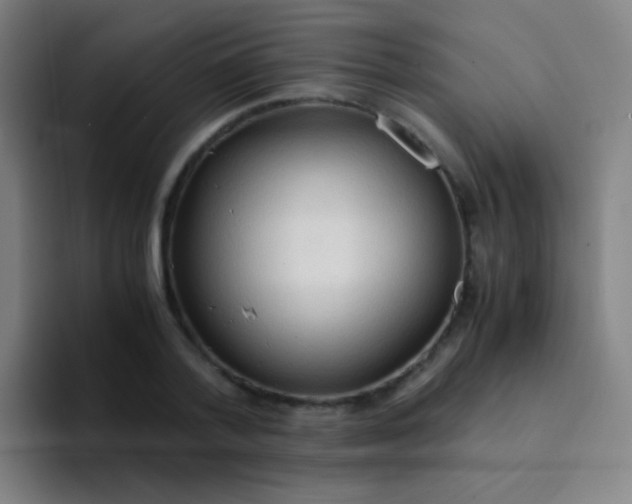 X0000094320788200711161929