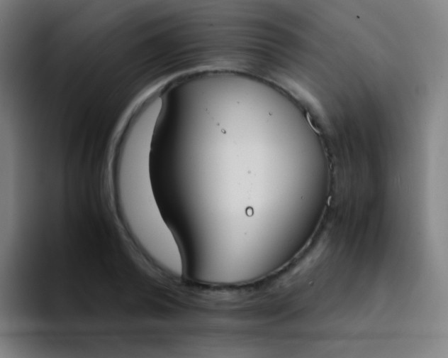 X0000094320792200711161929