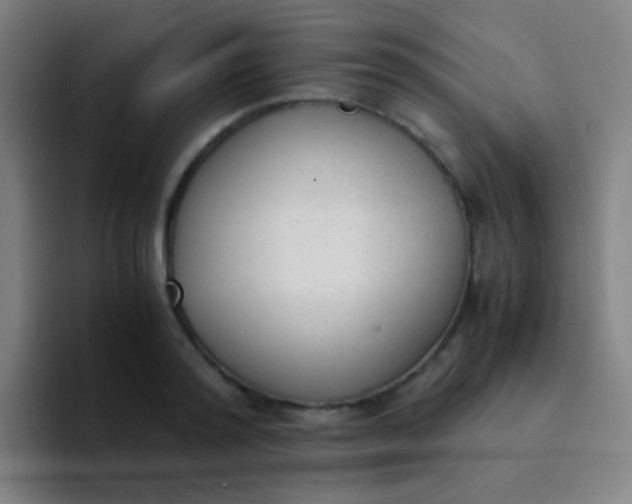 X0000094320796200711161929