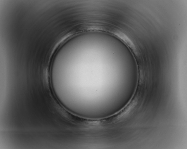 X0000094320798200711161929