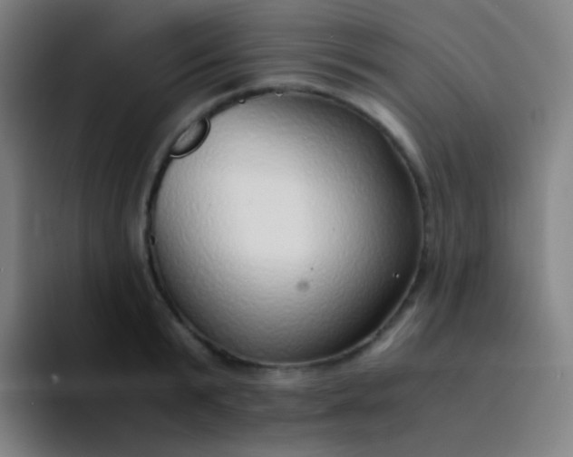 X0000094320799200711161929