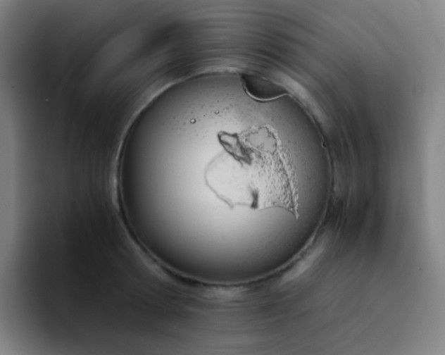 X0000094320802200711161928