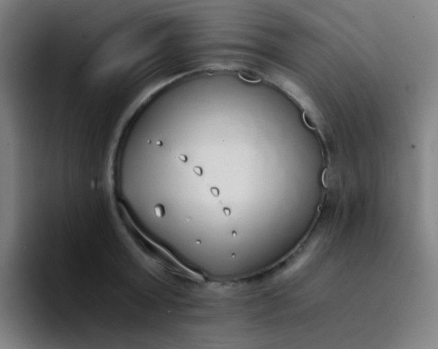 X0000094320803200711161928