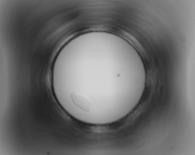 X0000094320804200711161928