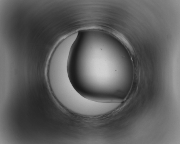 X0000094320805200711161928
