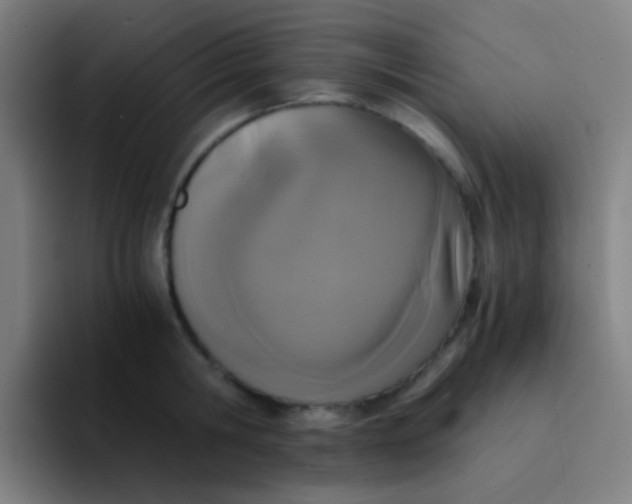 X0000094320806200711161928