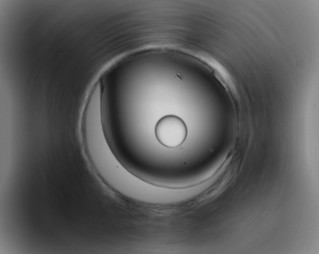 X0000094320807200711161928