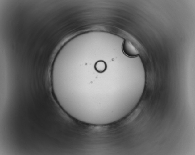X0000094320808200711161928