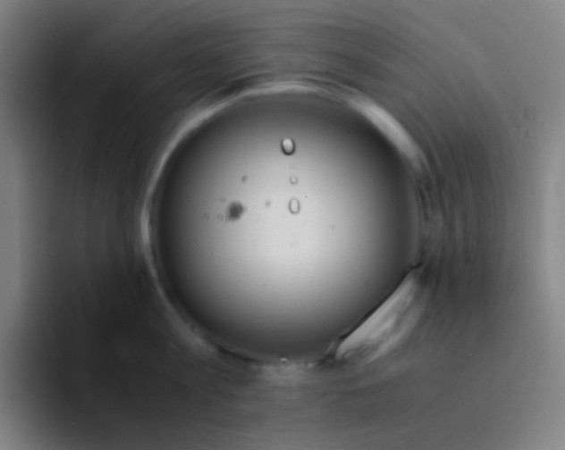 X0000094320813200711161928