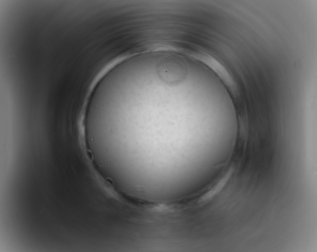X0000094320814200711161928