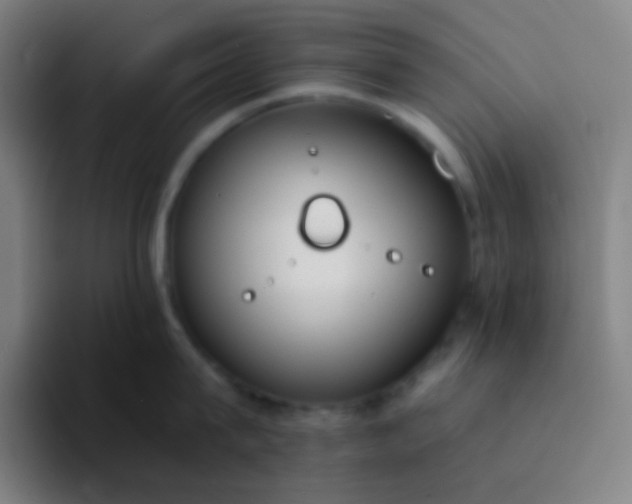 X0000094320815200711161928
