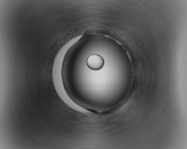 X0000094320818200711161927