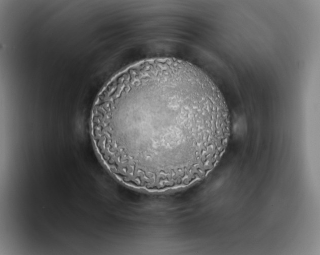 X0000094320819200711161927