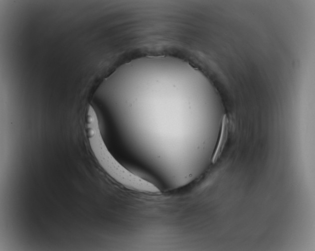 X0000094320820200711161927