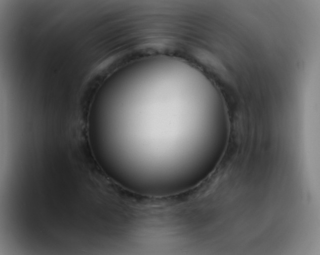 X0000094320822200711161927