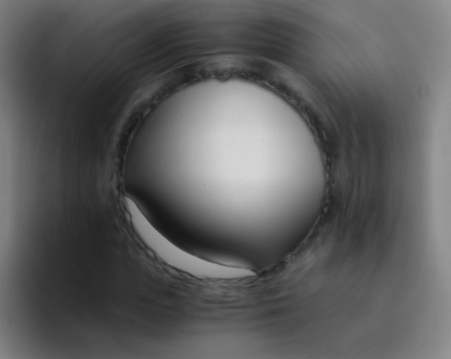 X0000094320823200711161927