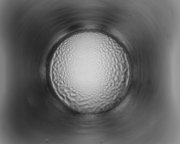 X0000094320827200711161927