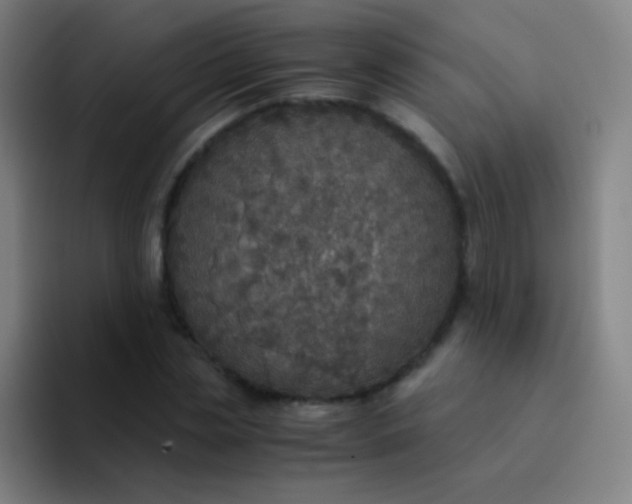 X0000094320829200711161927