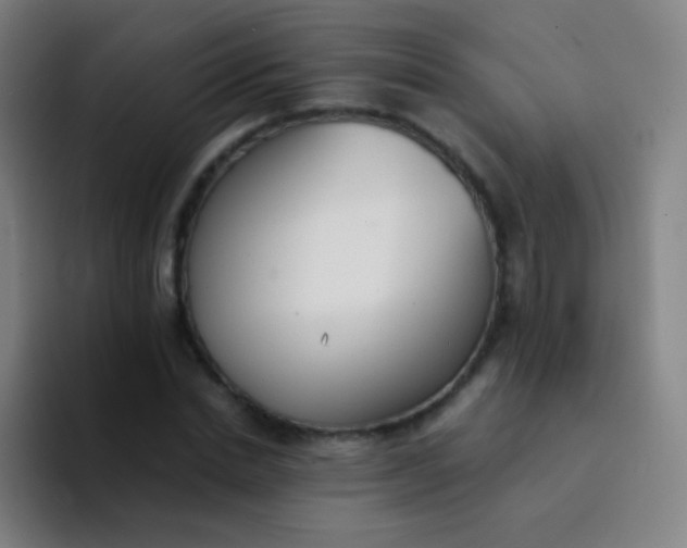 X0000094320830200711161927