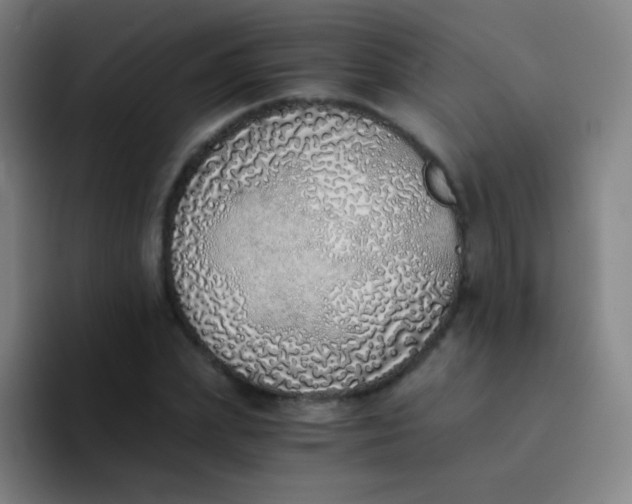 X0000094320831200711161927