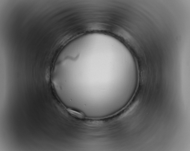X0000094320833200711161928