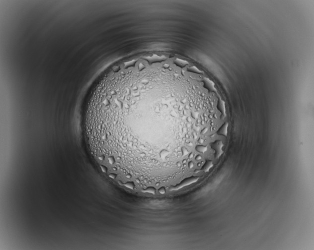 X0000094320835200711161928