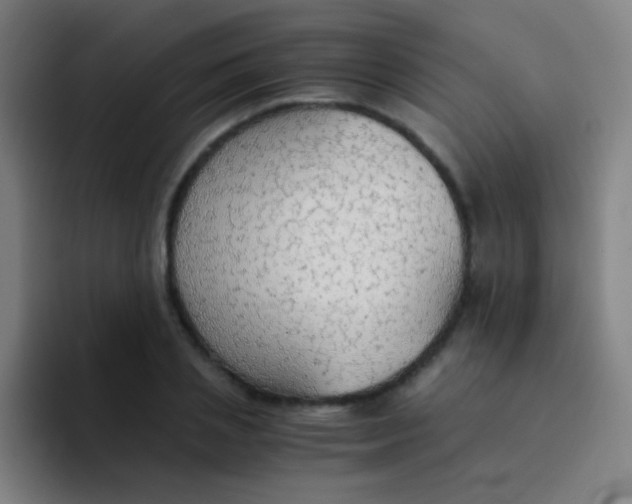 X0000094320837200711161928
