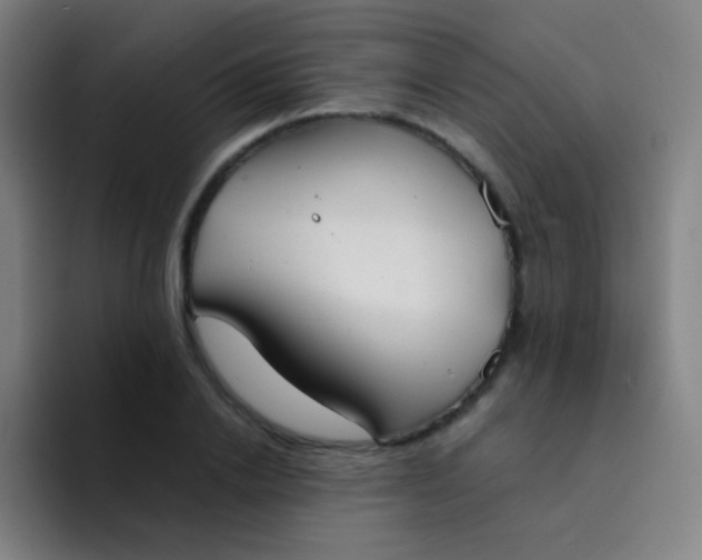 X0000094320838200711161928