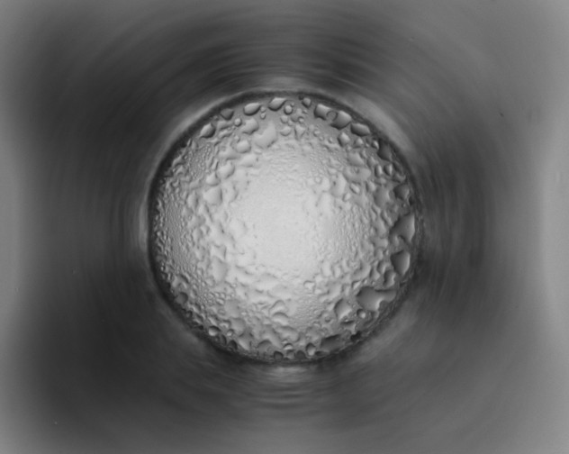 X0000094320839200711161928