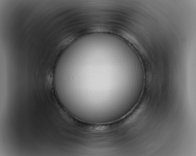 X0000094320841200711161928
