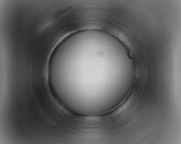 X0000094320844200711161928