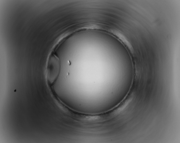 X0000094320845200711161928