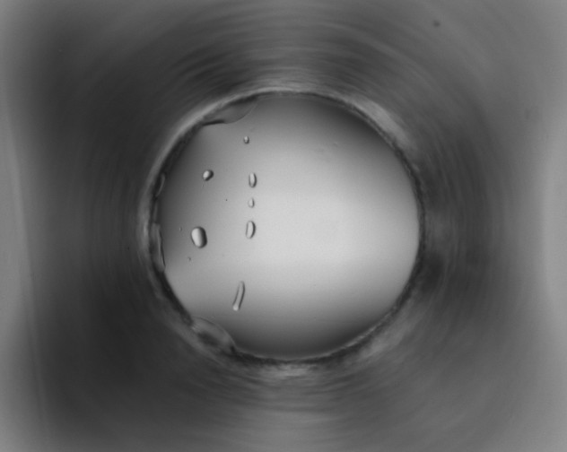 X0000094320846200711161928