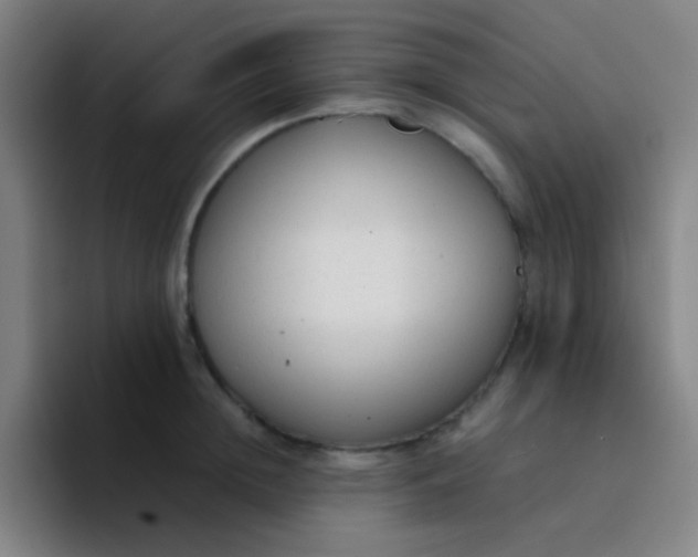 X0000094320852200711161928
