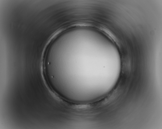 X0000094320853200711161928