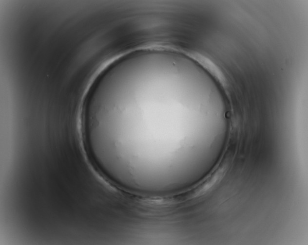 X0000094320855200711161928