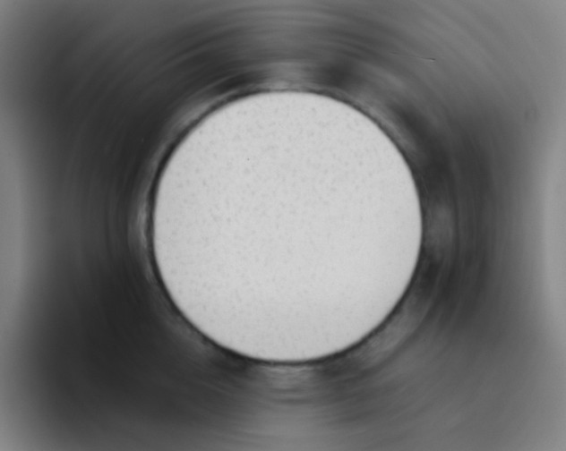 X0000094320856200711161928